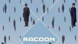 CD: Racoon ? Liverpool Rain