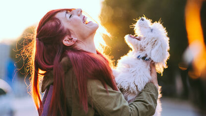 Té cute: Hond krijgt zwangerschapsshoot