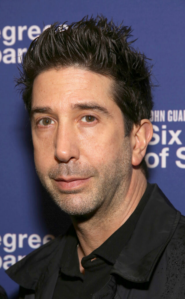 David Schwimmer... nu