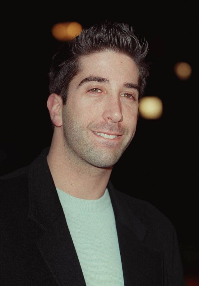 David Schwimmer... toen