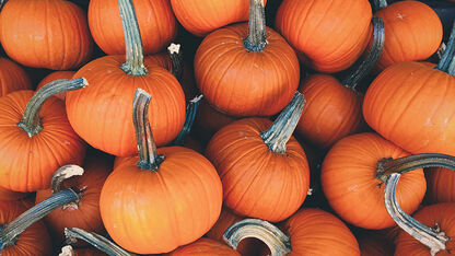  Halloween DIY: de leukste ideeën voor Halloween 