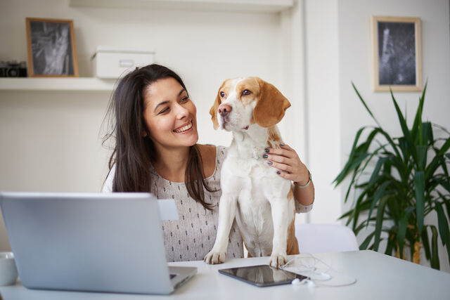 Hond mee naar werk