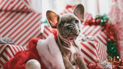 Inspiratie nodig? 11 x het leukste kerstcadeau voor haar 