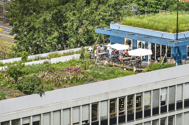 rooftopbars Rotterdam