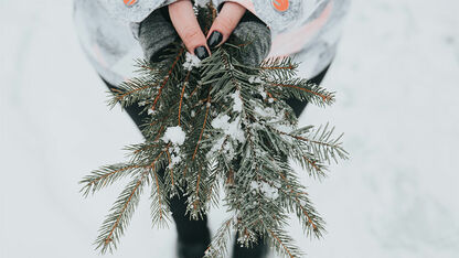 Geen ruimte voor een kerstboom? Dit zijn 5 alternatieven