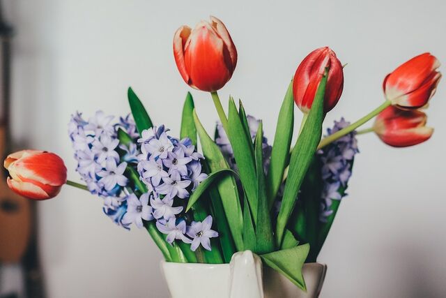 tulpen hangen vreemd trucje