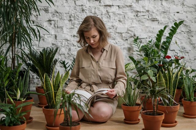 fouten verzorgen planten