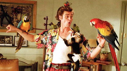 Alrighty then! De hilarische komedie Ace Ventura is binnenkort op Netflix te zien