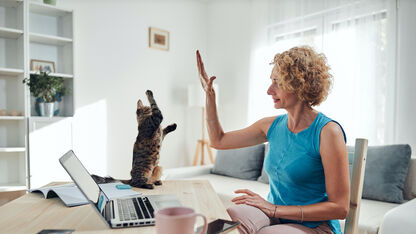 'Goeiemorgen Simba!' Rare dingen die kattenvrouwtjes doen