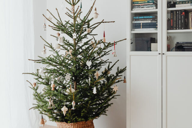 kerstboom langer mooi houden tips