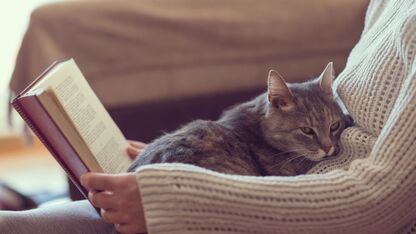 Met deze tips kun je veel meer boeken lezen (ook als je geen tijd hebt)