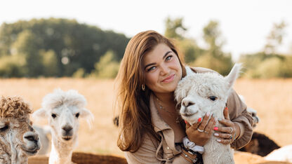 Hier vind je de leukste Alpaca farms in Nederland