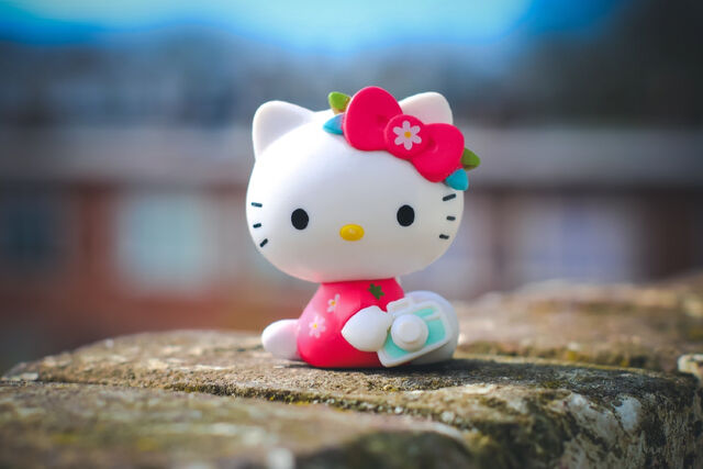 gigantische hello kitty verzameling