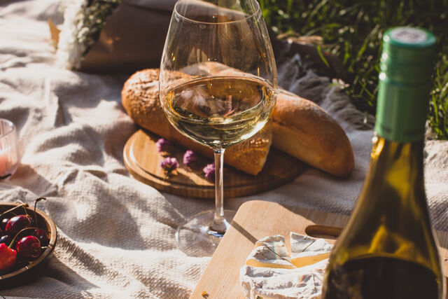 leuke picknickplekken in nederland