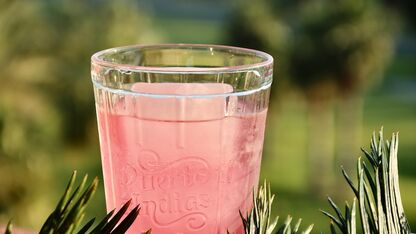 Deze frambozen rosé wordt jouw nieuwe favoriete drankje