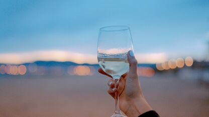 Proost! Het is vandaag nationale Drink Wijn Dag