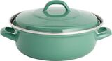 Lite-Body - Magnus Braadpan  24cm/2,5 l met deksel- Emaille- Olijf Groen - Inductie | bol.com