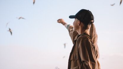 Petjes tegen de zon: dit zijn de leukste