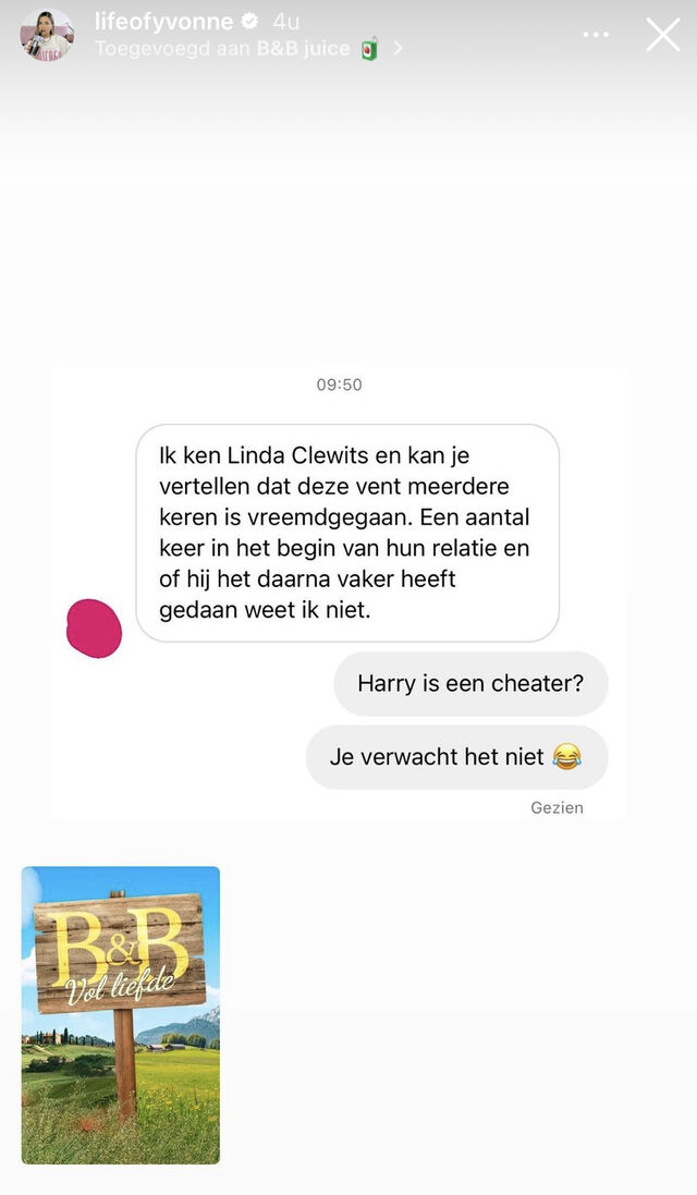 b&amp;b vol liefde harry vreemdganger