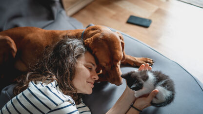 Het is dierendag!  Zo verwen je jouw huisdier