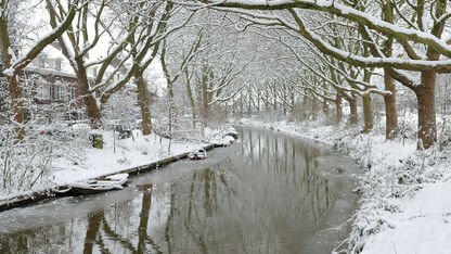 Brrr! Student (23) springt binnen no time ijskoude gracht in en redt vrouw uit auto