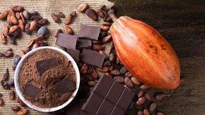 Cacao ceremonies zijn in: dit moet je erover weten