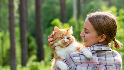 Deze schattige kattentour gaat viral op TikTok